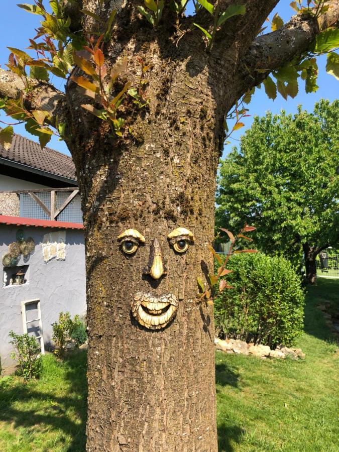 Ferien- Und Monteurswohnung Heilbrunnen فورث آم راين المظهر الخارجي الصورة